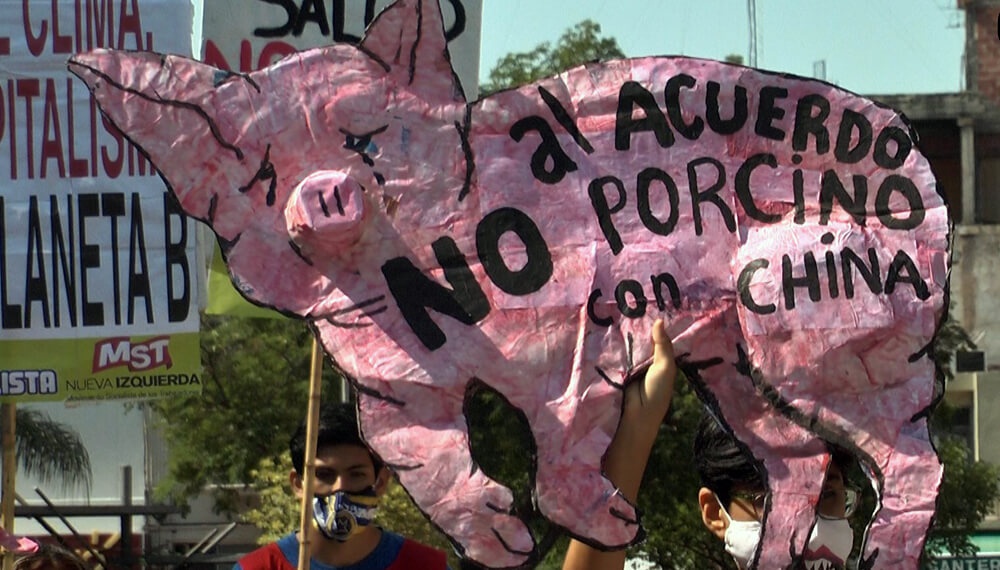 China y Argentina: Incertidumbre por acuerdo de producción de carne de cerdo