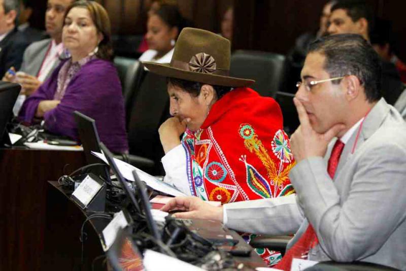 Parlamentarische Abgeordnete aus Bolivien
