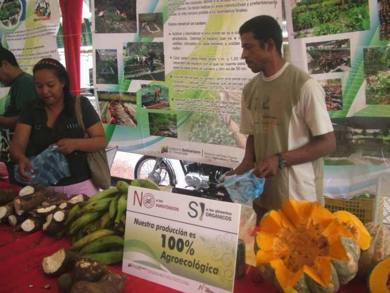 Kommunarden, die im Rahmen des Landwirtschaftsprogramms der Regierung AgroVenezuela in urbanen Gärten arbeiten