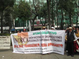 Mitglieder der Bauernorganisation UNORCA protestieren