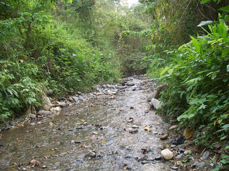Der Río Castán in Venezuela
