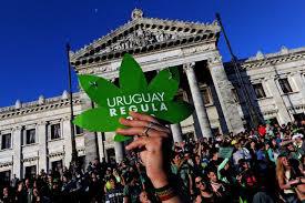 Uruguay als Vorreiter in alternativer Drogenpolitik
