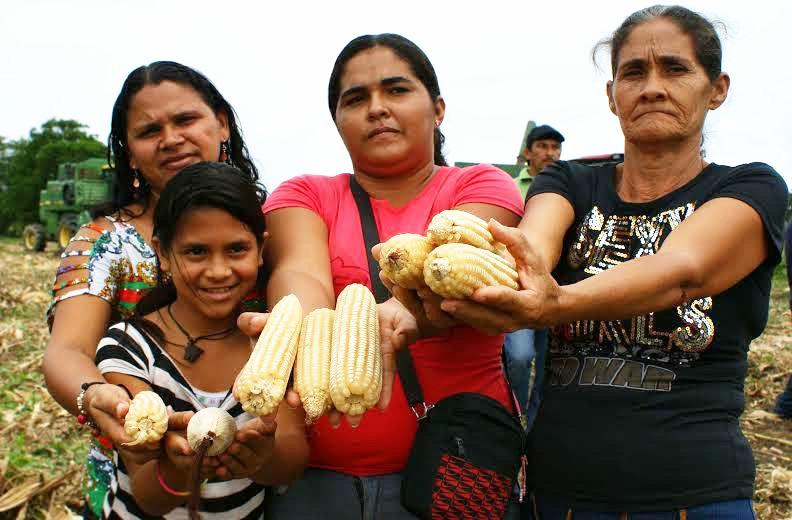 In der Sozialistischen Kommune El Maizal wird vor allem Mais angebaut