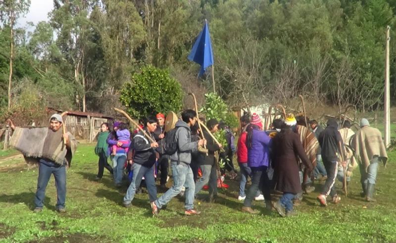 Rund 40 Angehörige der Mapuche-Gemeinde Ranquilco haben vergangene Woche mit der Besetzung begonnen