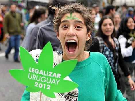 Seit Dezember darf jeder Erwachsene in Uruguay monatlich bis zu 40 Gramm Marihuana kaufen oder die Pflanzen selbst anbauen