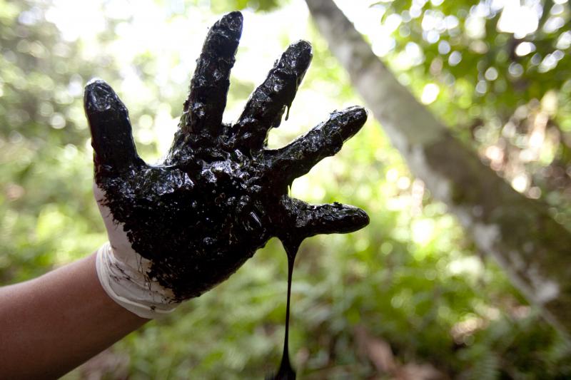 Chevron ist Nachfolger der Firma Texaco, die in dem Amazonasgebiet 5 Millionen Kubikmeter Boden verseucht hat.