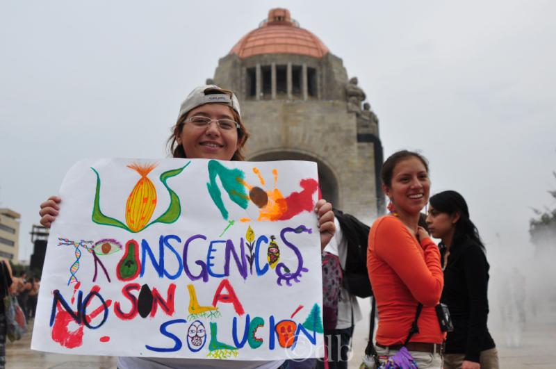 Proteste gegen Monsanto in Mexiko-Stadt