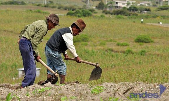 Ungenutztes Land soll an Kleinbauern und Unternehmen der Solidarischen Ökonomie verteilt werden