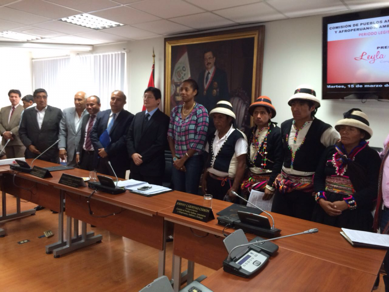 Delegation aus Cotabambas in Anhörung der parlamentarischen Kommission Indigene Völker und Umwelt