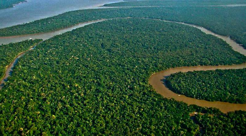 Über 46.000 Quadratkilometer Amazonas-Schutzgebiet sollten in Brasilien für den Bergbau freigeben werden