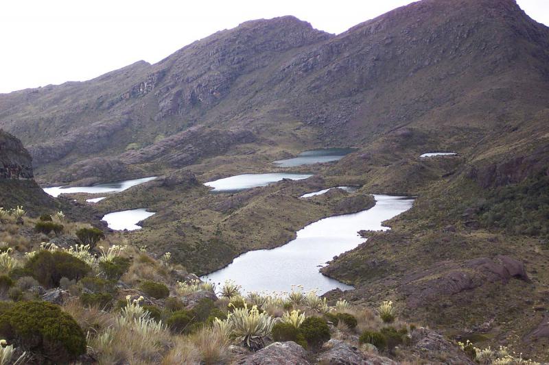 Die sieben Seen im Schutzgebiet Paramo de Santurbán. Das Verfassungsgericht von Kolumbein hat dort jeglichen Bergbau untersagt