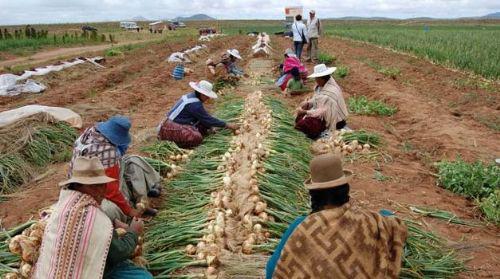 In elf Jahren hat Boliviens Regierung über 700 Millionen US-Dollar in mehr als 15 Programme zum Nutzen des landwirtschaftlichen Bereichs investiert