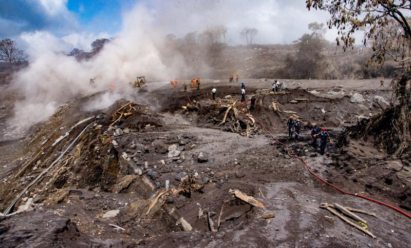 Der Vulkanstaub bedeckt Vegetation und Opfer. Noch immer werden knapp 200 Menschen vermisst