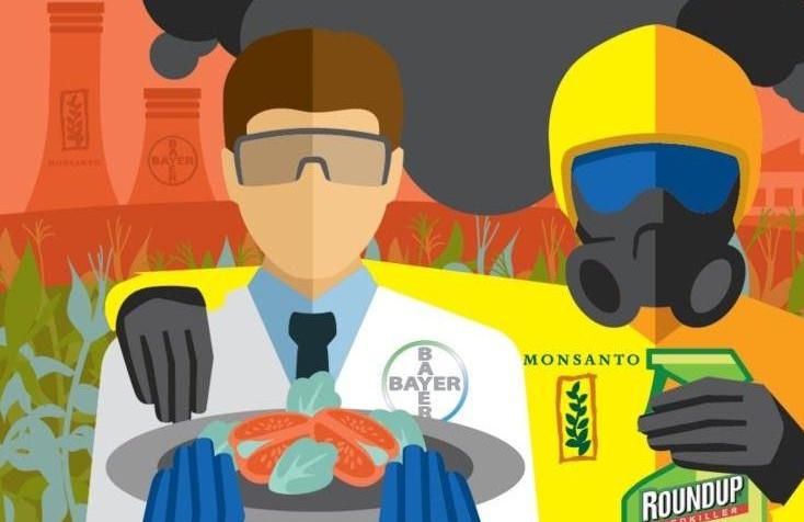 Die Bayer AG kaufte im Juni 2018 Monsanto.  Auch aus Reputationsgründen wurde der belastete Name Monsanto gestrichen