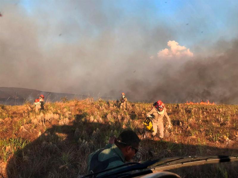 Montag, 26. August: Feuerwehrleute im Bundesstaat Mato Grosso bekämpfen Waldbrände