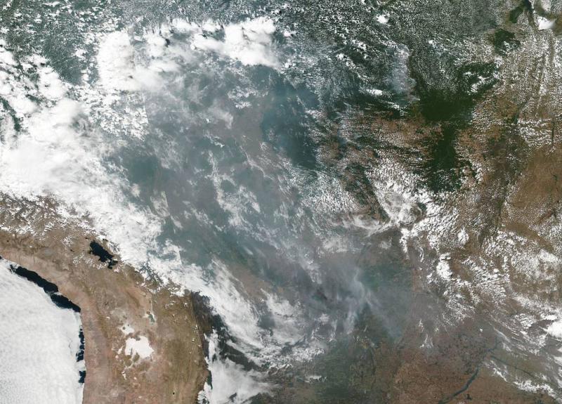Aufnahme der NASA zeigt das Ausmaß der Waldbrände im Amazonas
