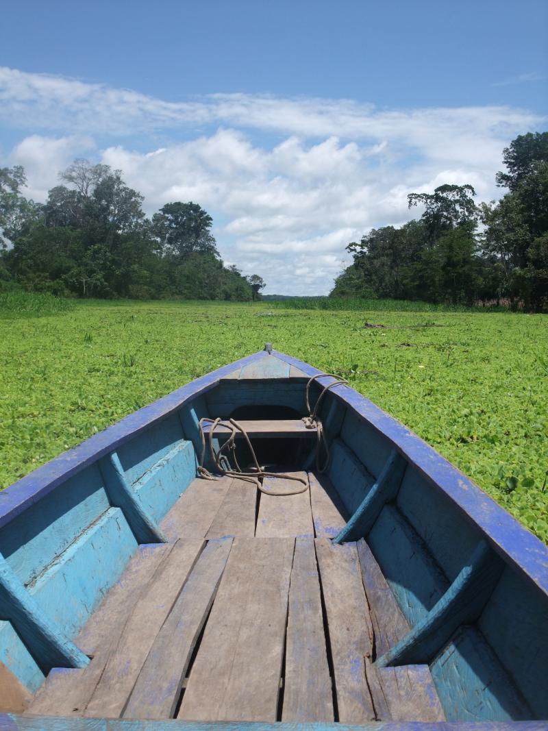 Die weltweit einzigartige Amazonasregion ist in Gefahr...