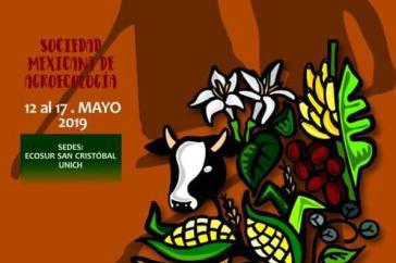 Das Plakat zum Kongress, der vergangene Woche in Chiapas stattfand