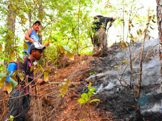 Wie hier im Bundestaat Oaxaca muss in weiten Teilen Mexikos gegen Waldbrände vorgegangen werden