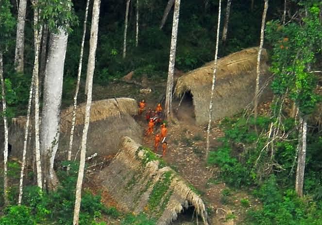 In Brasilien sind 114 nicht kontaktierte indigene Gemeinden verzeichnet, davon sind 28 offiziell von der Funai bestätigt