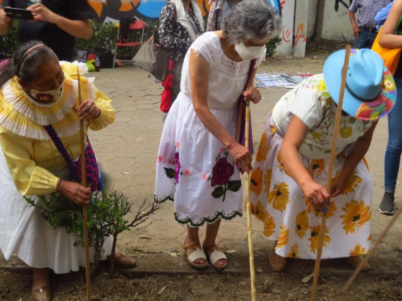 Mitglieder der Karawane und Indigene aus Xochimilco setzen in einer gemeinsamen Zeremonie symbolisch Pflanzen