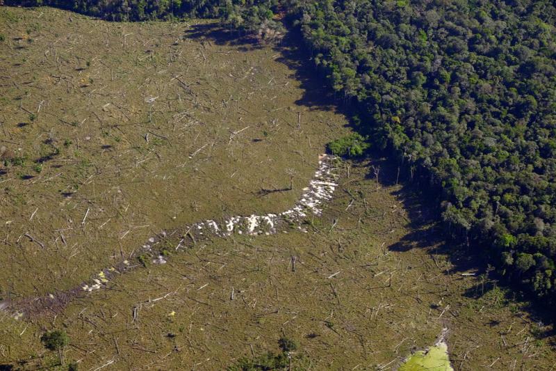 Die Entwaldung in der Cerrado-Region nahm von Januar bis April um fast 15 Prozent zu.