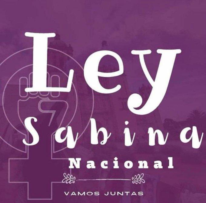 Die "Nationale Front der Frauen gegen Unterhaltsschuldner" hat sich jahrelang für das Ley Sabina engagiert.