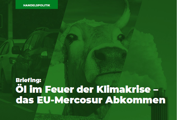 Handel auf Kosten der Umwelt: Das Briefing von PowerShift zeigt die Risiken des EU-Mercosur-Abkommens für Wälder, Klima und lokale Gemeinschaften auf