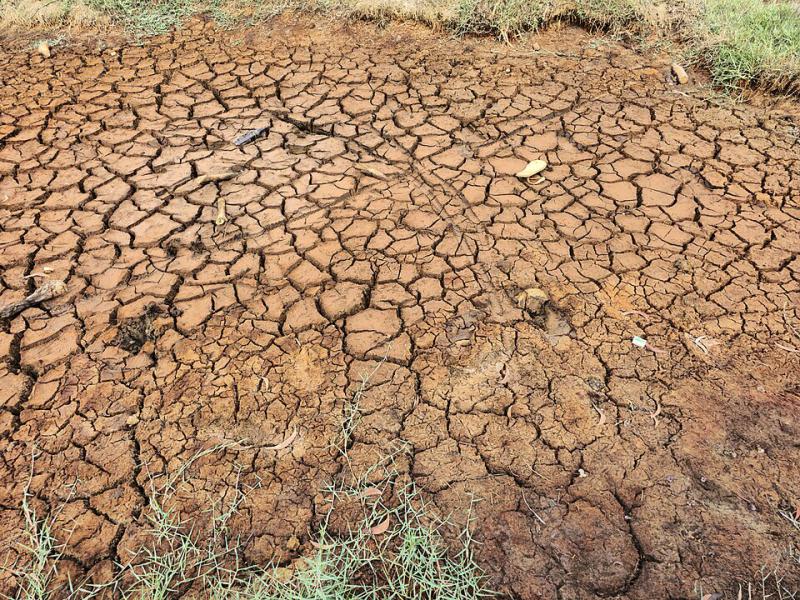 Die Dürre infolge des El Niño-Phänomens hinterlässt bereits ihre Spuren