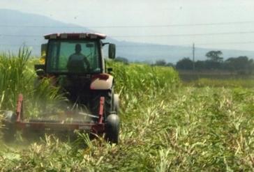 Soll effizienter werden: Kubas Landwirtschaft