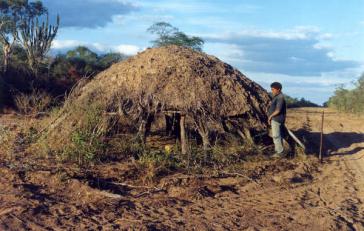Eine Hütte der unkontaktierten Ayoreo