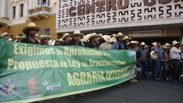 Demonstration von Kleinbauern in Tegucigalpa