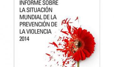 Bericht über die weltweite Situation zur Gewaltvorbeugung 2014