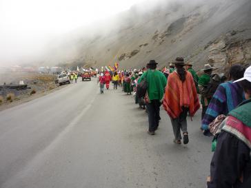 Der Streit um das Projekt im Tipnis-Park treibt seit Jahren Menschen in Bolivien auf die Straße