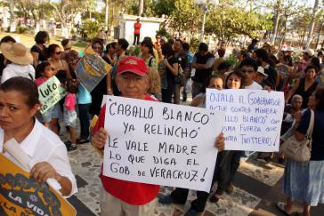 Protestierende mit Bannern über das Bergbauvorhaben Caballo Blanco