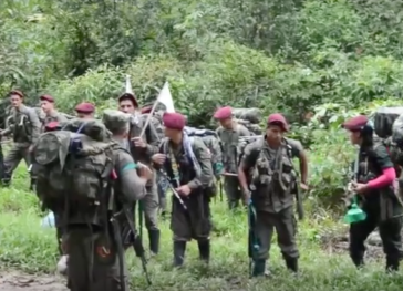 Farc-Guerilleros auf dem Weg zur Entwaffnung