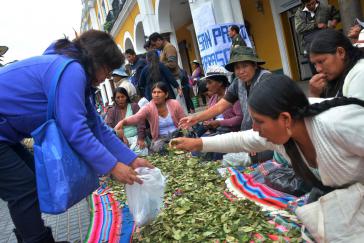 Am 11. Januar wird in Bolivien der "Nationale Tag des Koka-Kauens" begangen, hier in Cochabamba