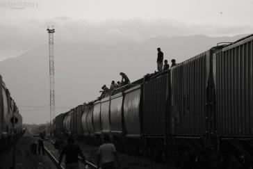 Migranten auf einem Güterzug in Zentralamerika