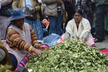 "Tag des Koka-Kauens" in Bolivien. Die Regierung von Evo Morales setzt sich seit Jahren international für die Entkriminalisierung des traditionellen und kulturellen Gebrauchs von Koka-Blättern ein