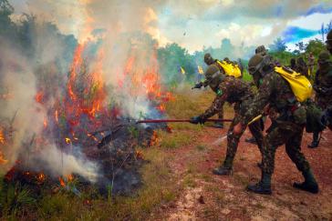 Feuerwehrleute des Militärs im Einsatz gegen Waldbrände in Brasiliens Bundestaat Pará