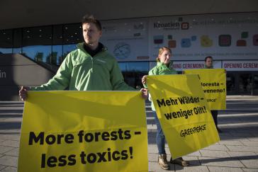 Protest gegen Brasiliens Agrarministerin am Rande der Grünen Woche in Berlin