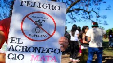 Widerstand in Argentinien gegen Pestizideinsatz: "Agrobusiness tötet"