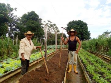 In Kuba seit der Agrarreform 1959 Realität: "Das Land denen, die es bearbeiten"