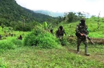 300 Paramilitärs sind am 31. Dezember ohne jegliche Hinderung durch die Streitkräfte im Chocó vorgerückt