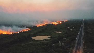 Über 2.700 Brandherde hat es im brasilianischen Pantanal in den ersten zwei Oktoberwochen gegeben