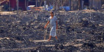 Dürreperioden und Waldbrände werden als Folge des Klimawandels in Lateinamerika häufiger und intensiver auftreten
