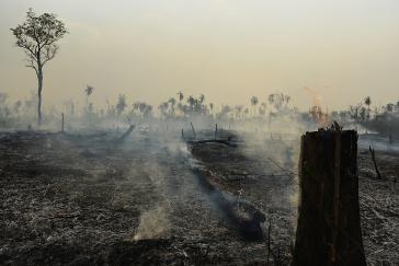 Durch Brände entwaldetes indigenes Land in Porquinhos, Maranhão