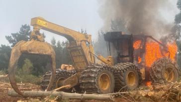 Militante Mapuche greifen immer wieder Maschinerie und Gebäude der Forstindustrie an