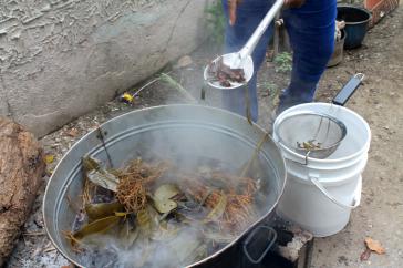 Im Gesundheitszentrum von Triunfo de la Cruz wird der Covid-Tee gekocht
