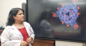 CIGB-Direktorin Ayala informierte die Leitung von BioCubaFarma über den Entwicklungsstand des Impfstoffkandidaten